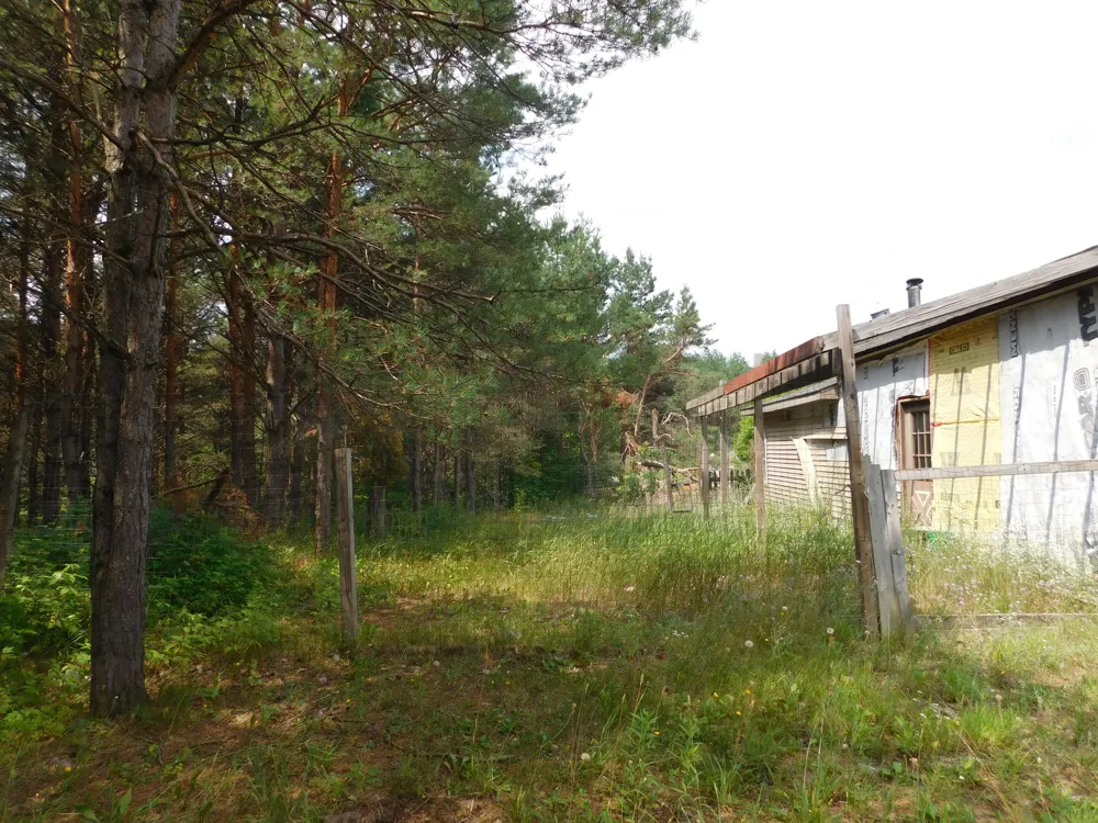 11880 Pine Cove Unknown, MI 49649