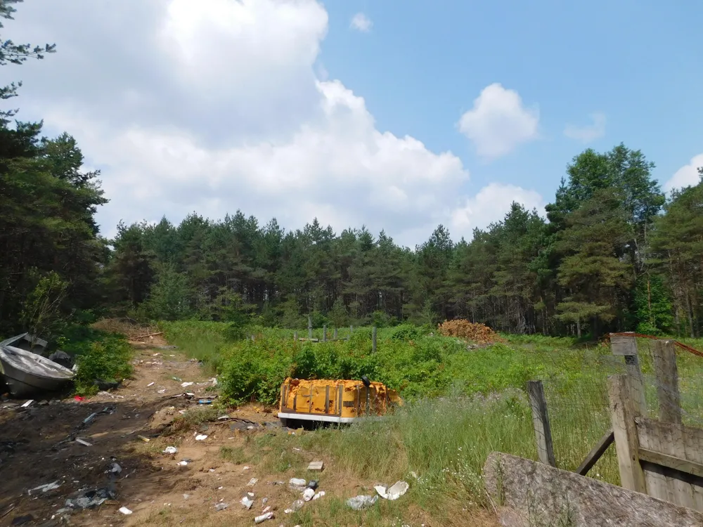 11880 Pine Cove Unknown, MI 49649