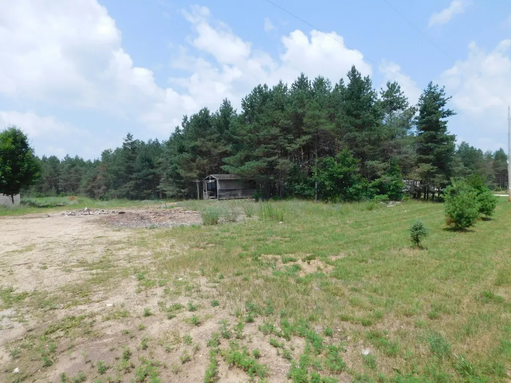 11880 Pine Cove Unknown, MI 49649