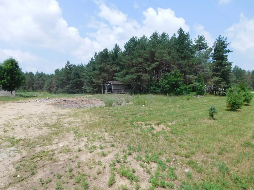 11880 Pine Cove Unknown, MI 49649