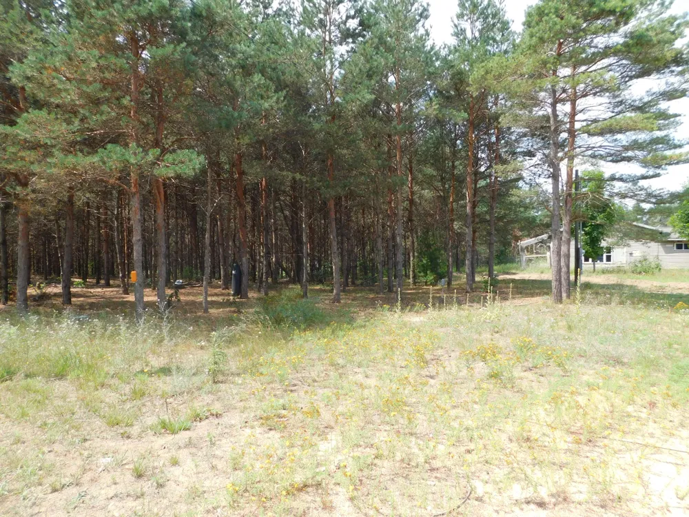 11880 Pine Cove Unknown, MI 49649