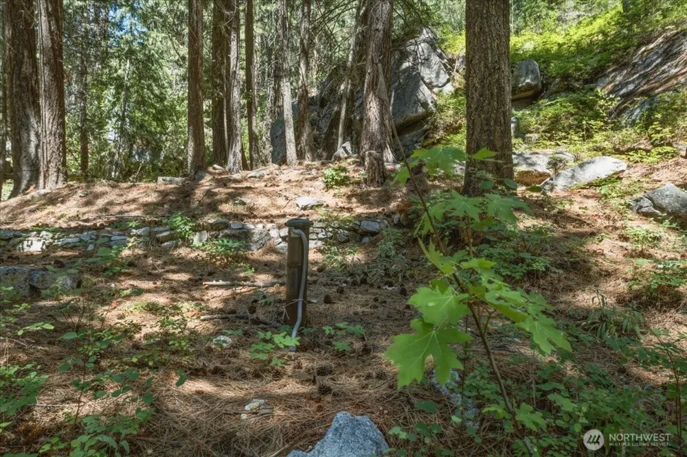 17964 Entiat River Road Entiat, WA 98822