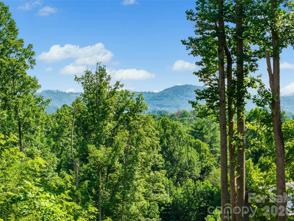 51 Wind Stone Drive Asheville, NC 28804
