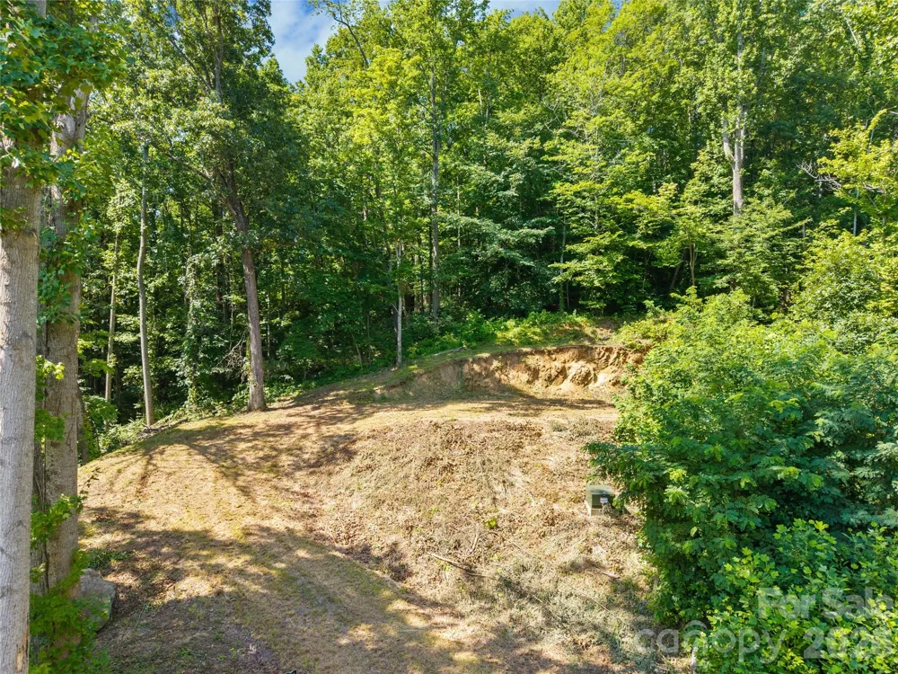 51 Wind Stone Drive Asheville, NC 28804