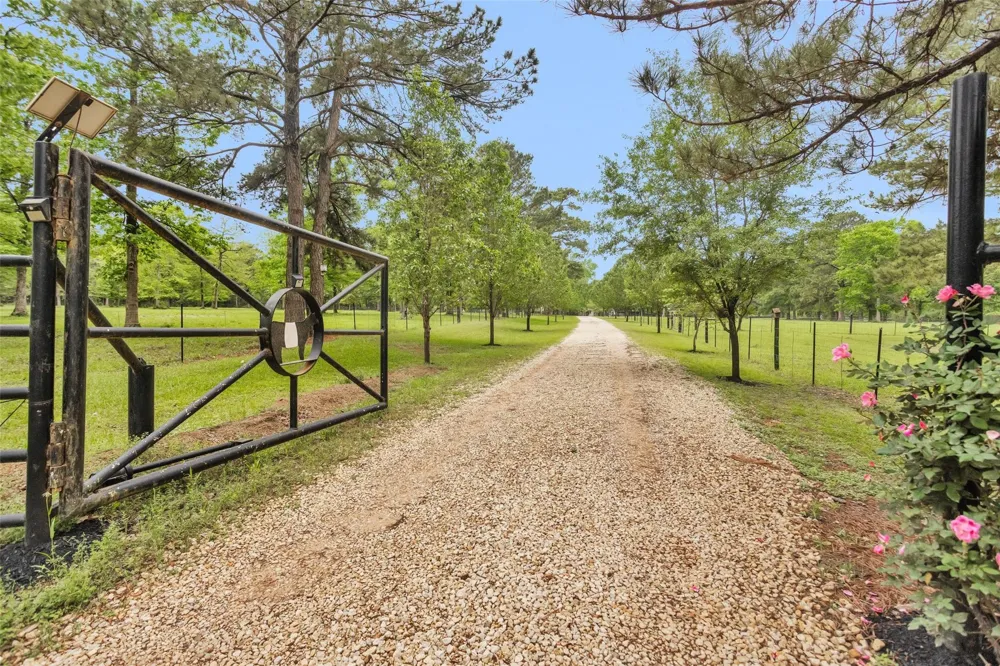 235 Caravella Court Livingston, TX 77351