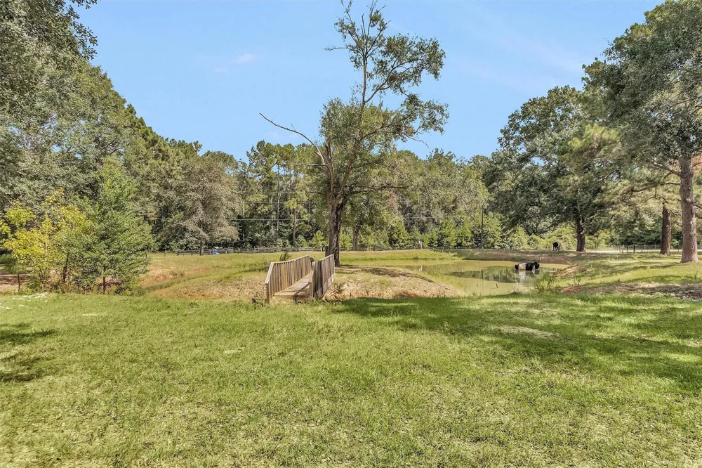 235 Caravella Court Livingston, TX 77351