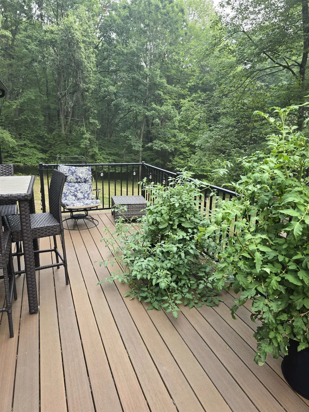 5005 White Birch Lane Lincoln Township, MI 48622