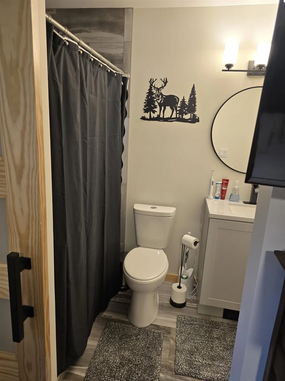 5005 White Birch Lane Lincoln Township, MI 48622