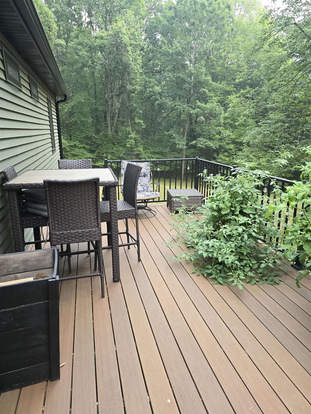 5005 White Birch Lane Lincoln Township, MI 48622