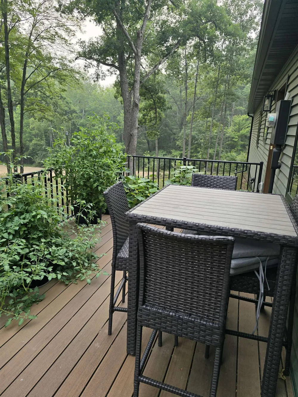 5005 White Birch Lane Lincoln Township, MI 48622