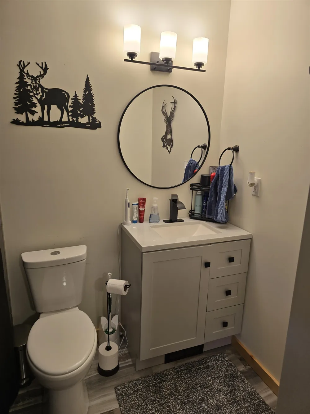 5005 White Birch Lane Lincoln Township, MI 48622