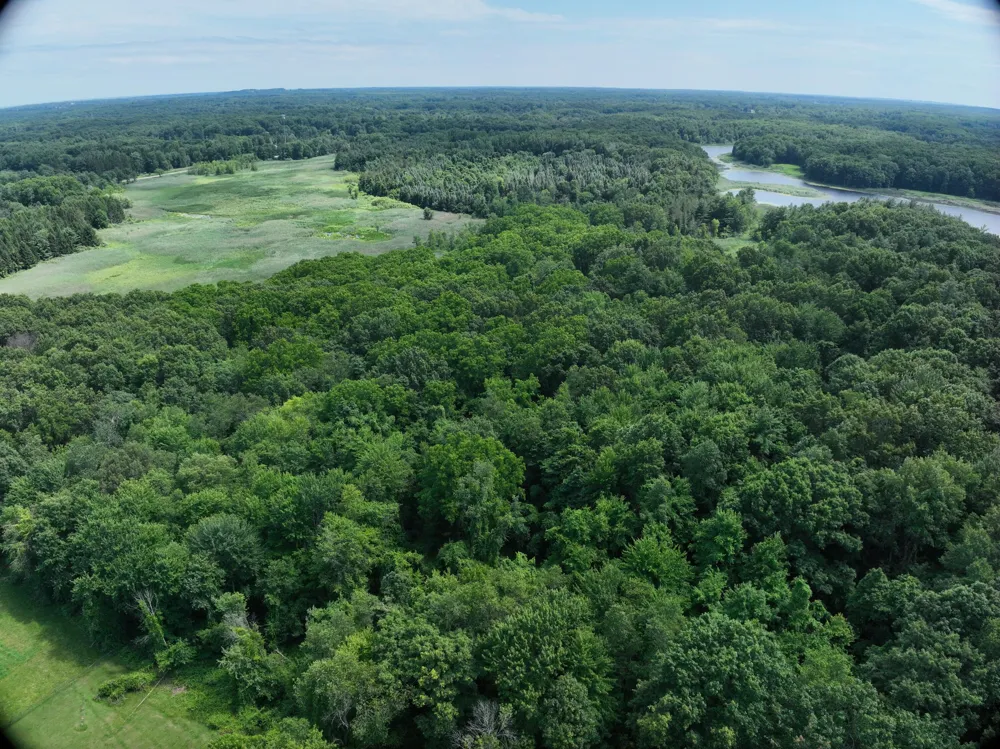 Lasher Road Dryden, MI 48428