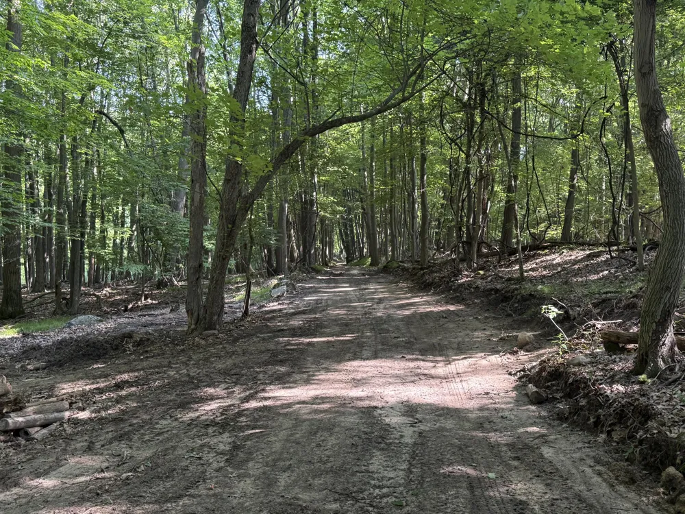 Lasher Road Dryden, MI 48428