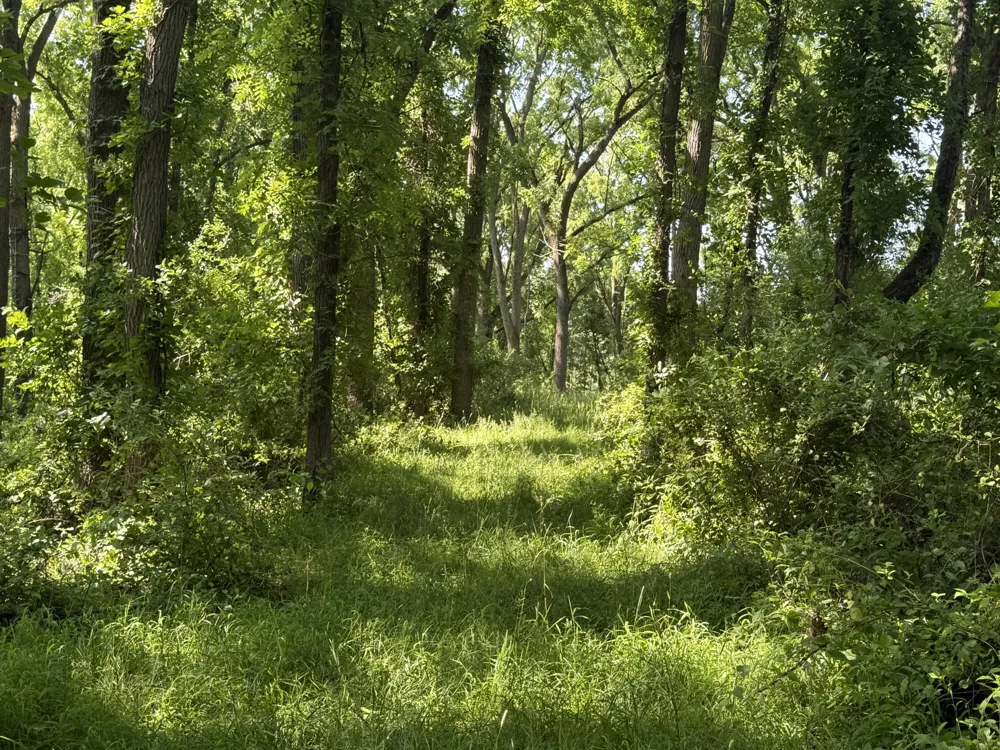 Lasher Road Dryden, MI 48428