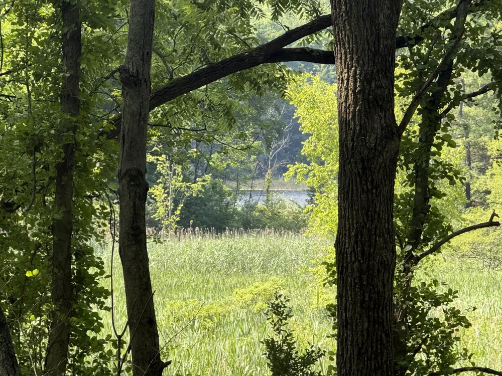 Lasher Road Dryden, MI 48428