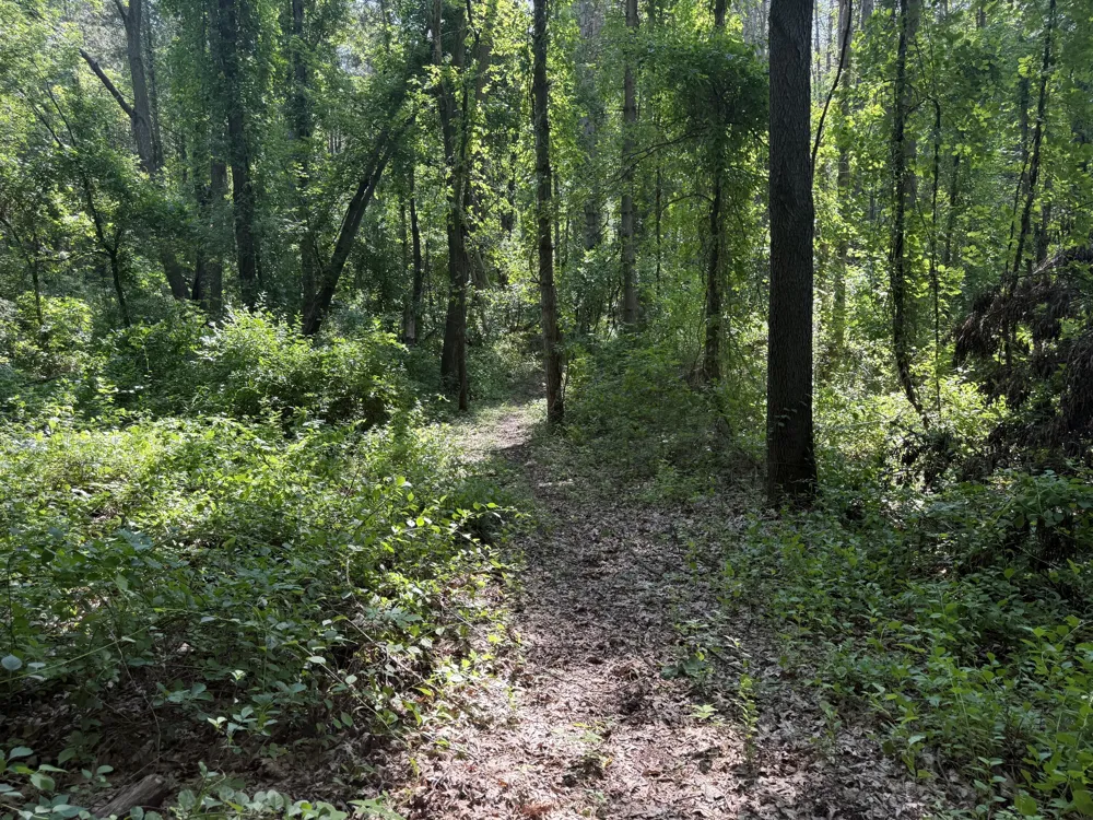 Lasher Road Dryden, MI 48428