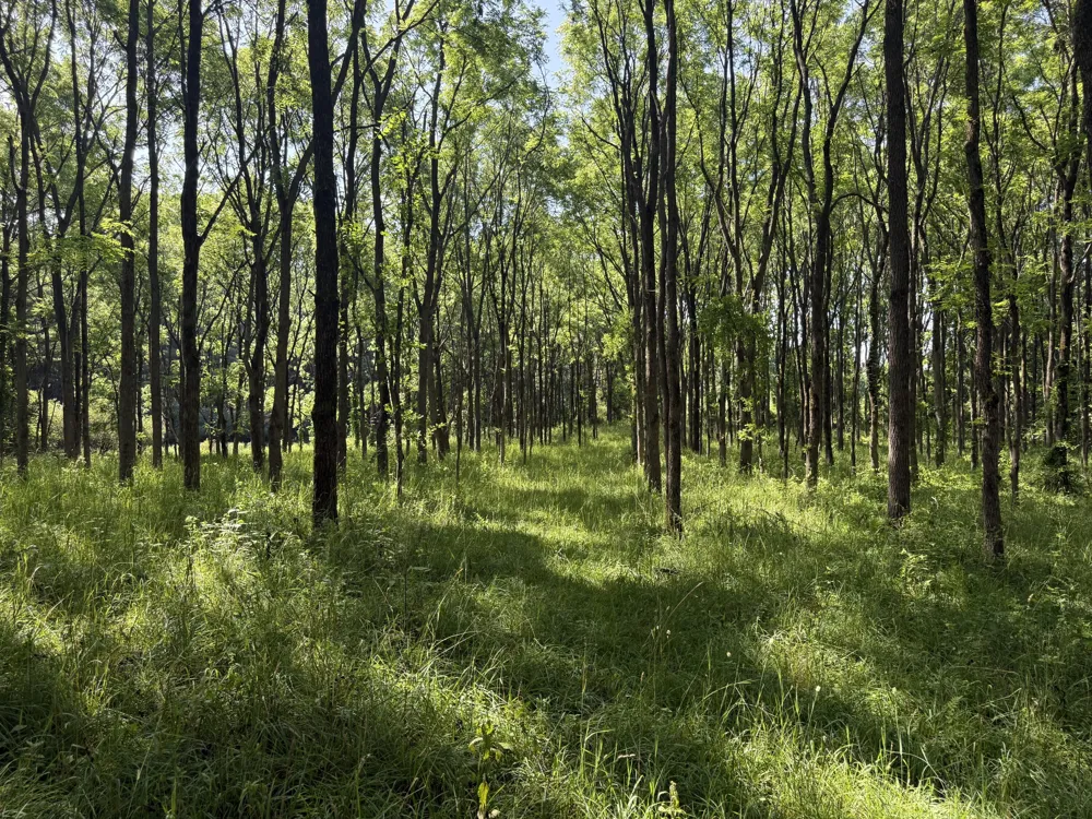 Lasher Road Dryden, MI 48428