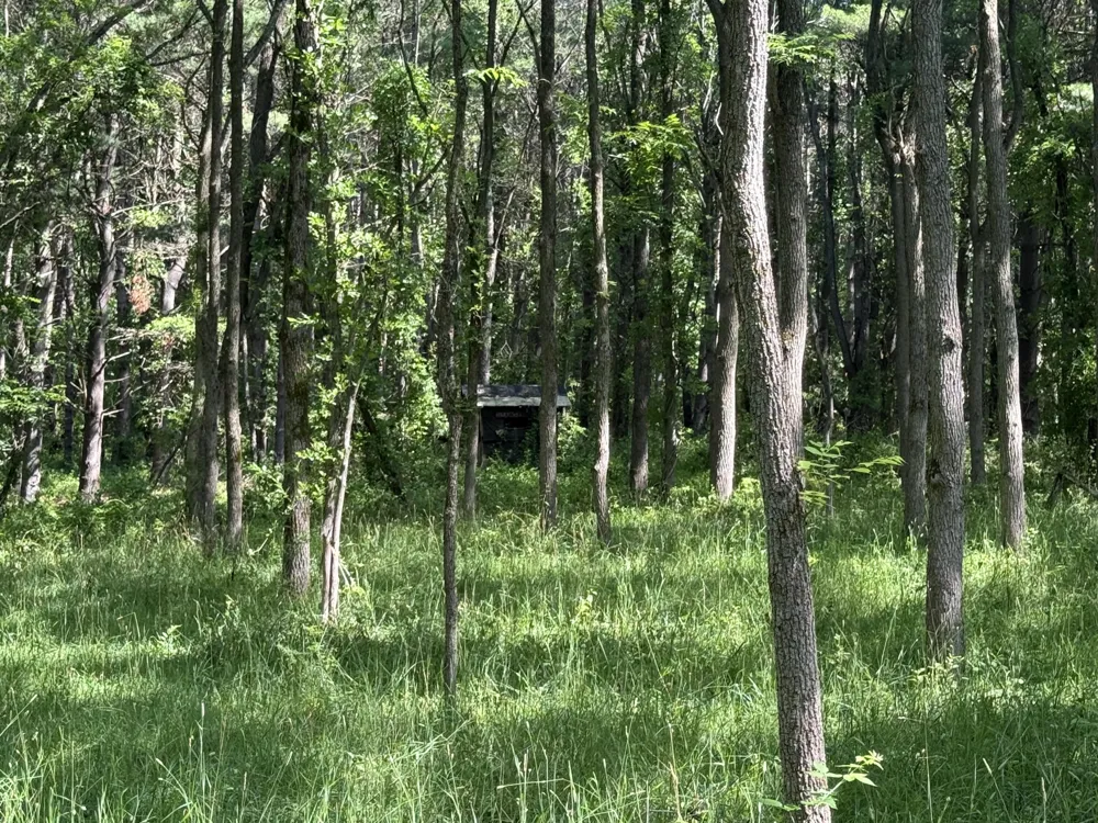 Lasher Road Dryden, MI 48428
