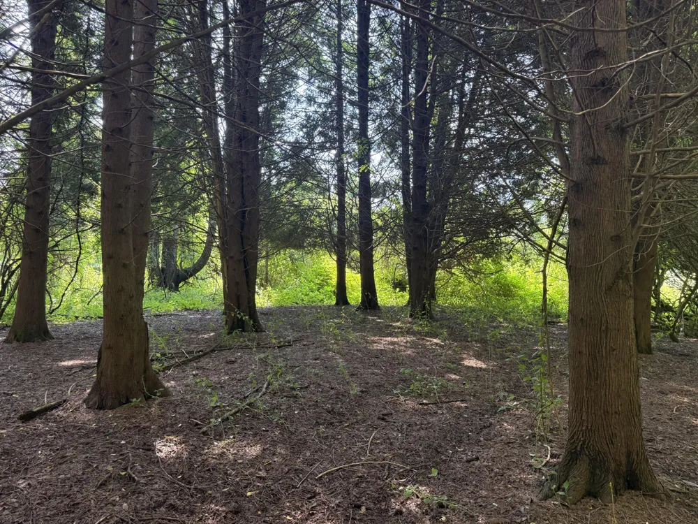 Lasher Road Dryden, MI 48428