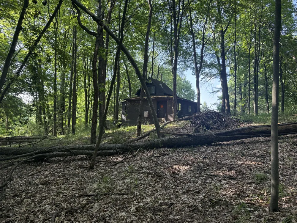 Lasher Road Dryden, MI 48428