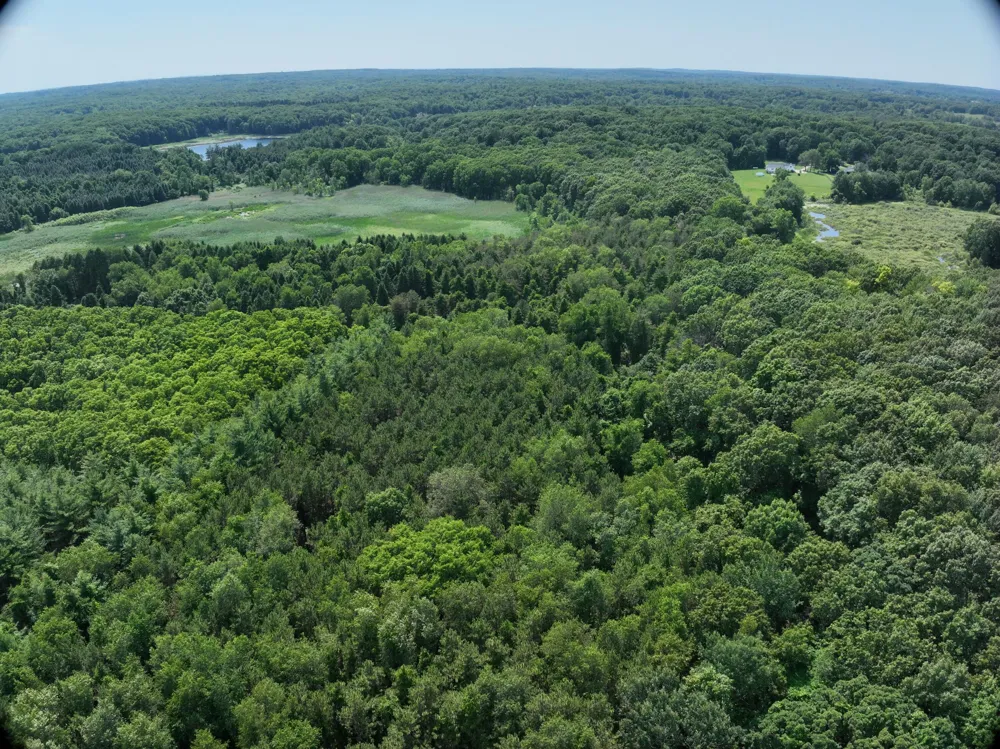 Lasher Road Dryden, MI 48428