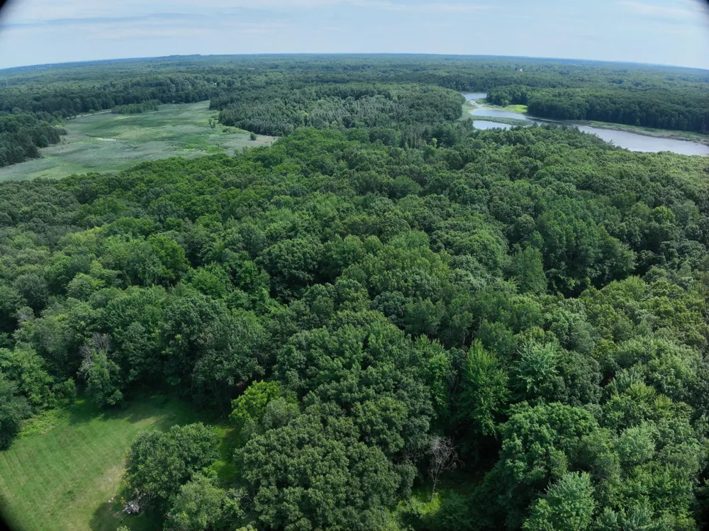 Lasher Road Dryden, MI 48428