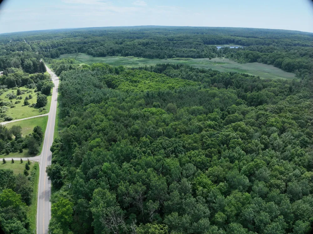 Lasher Road Dryden, MI 48428