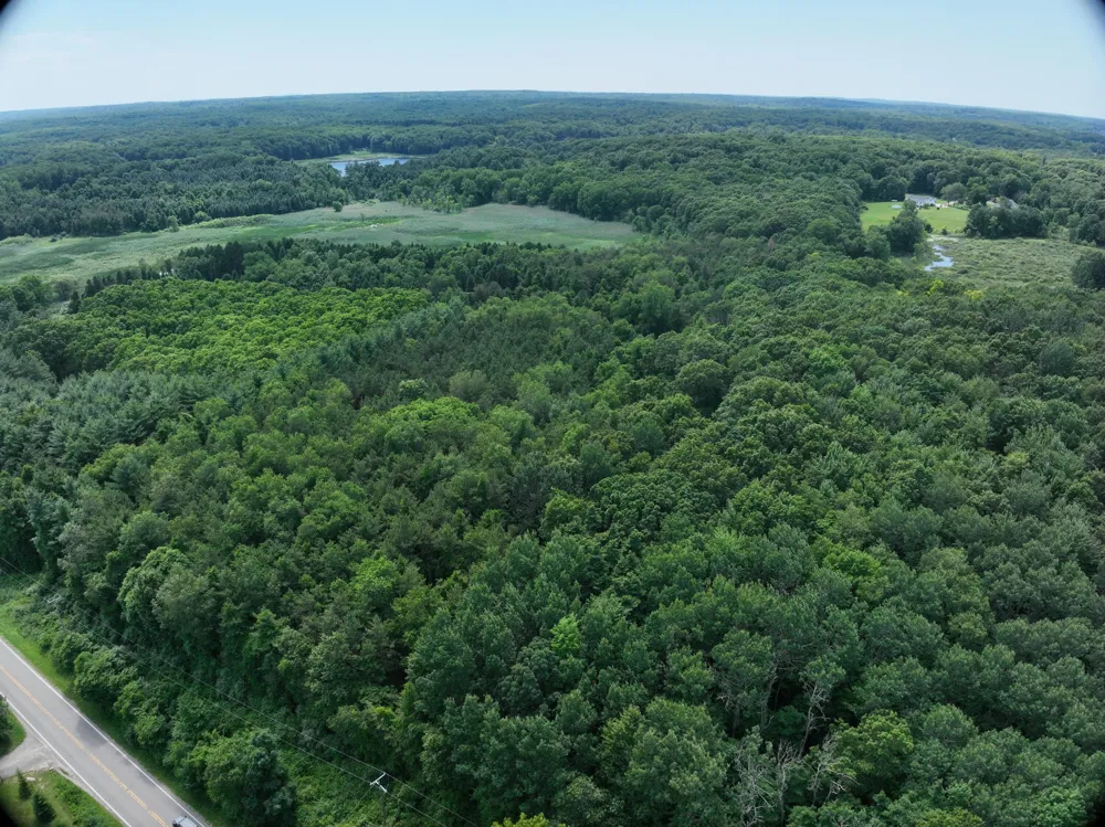 Lasher Road Dryden, MI 48428