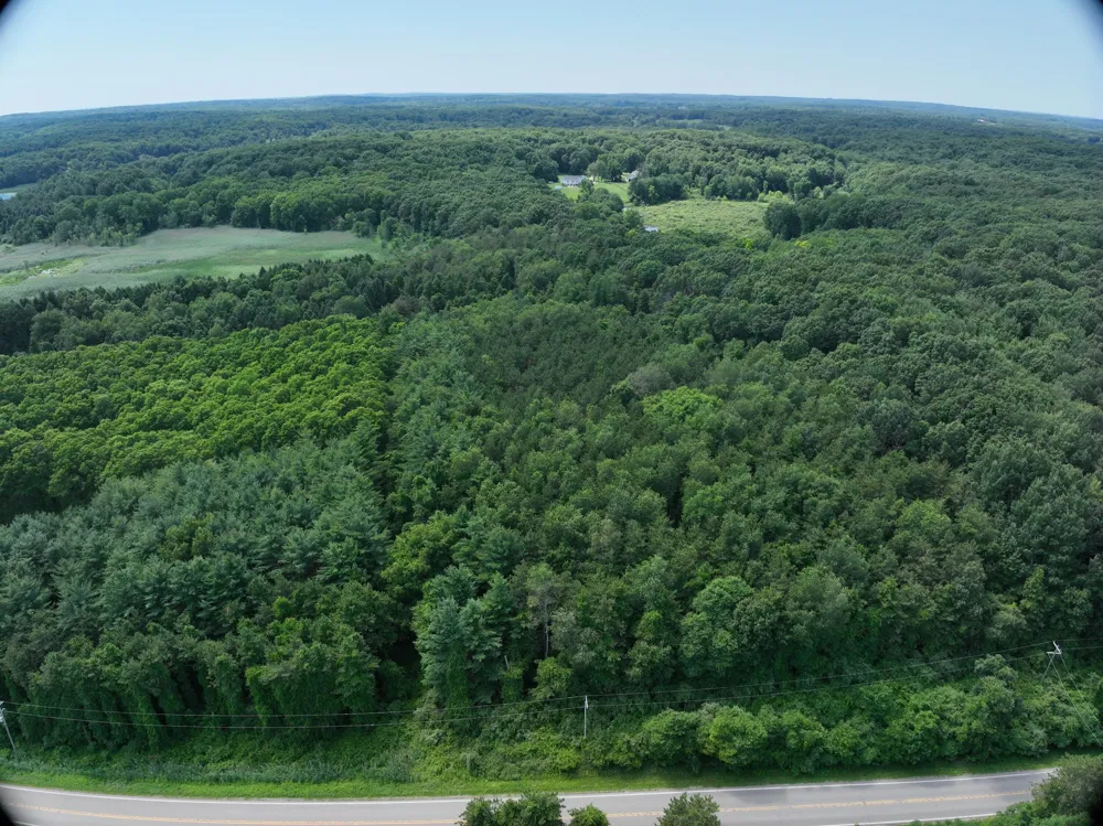 Lasher Road Dryden, MI 48428