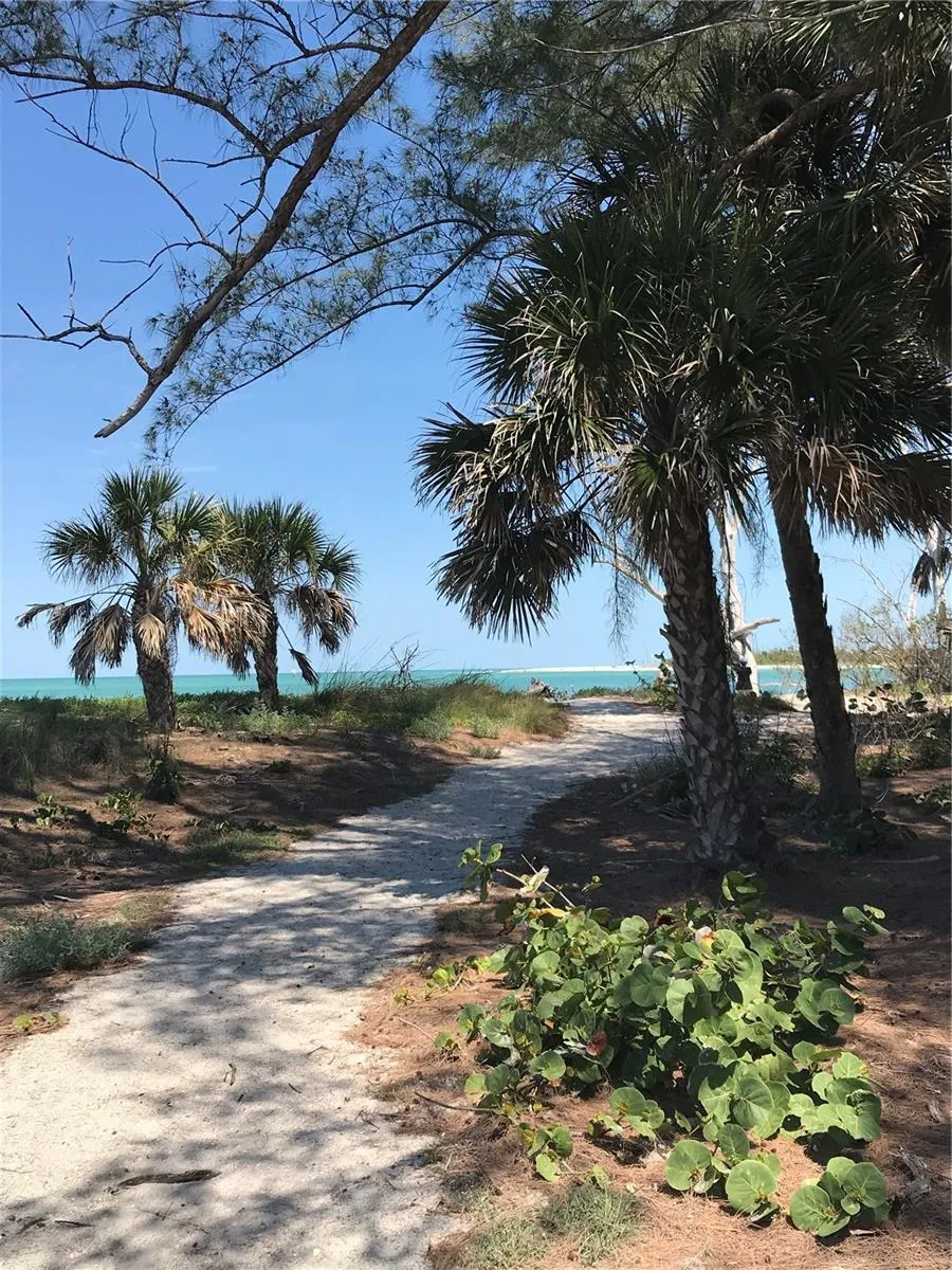 7365 PALM ISLAND DRIVE Placida, FL 33946