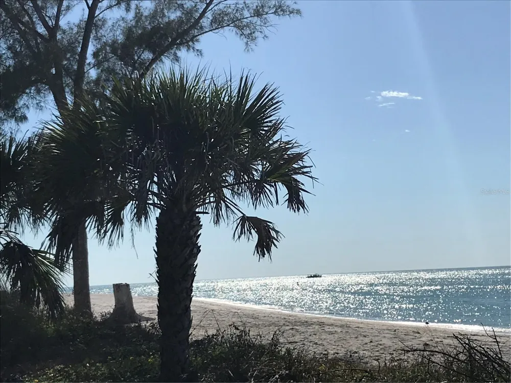 7365 PALM ISLAND DRIVE Placida, FL 33946