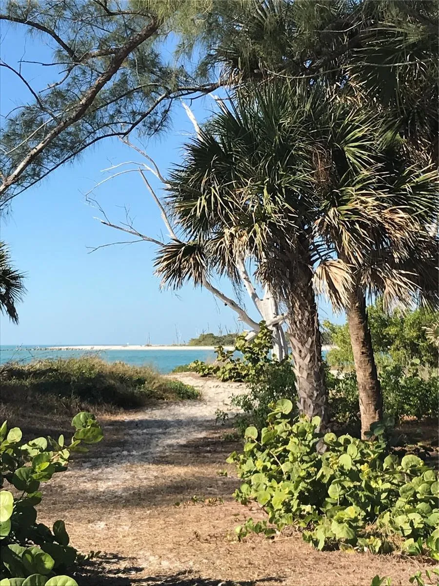 7365 PALM ISLAND DRIVE Placida, FL 33946
