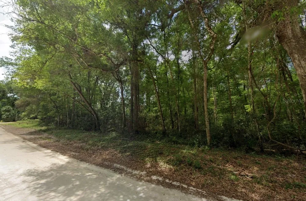 1200 NE 644TH STREET Old Town, FL 32680