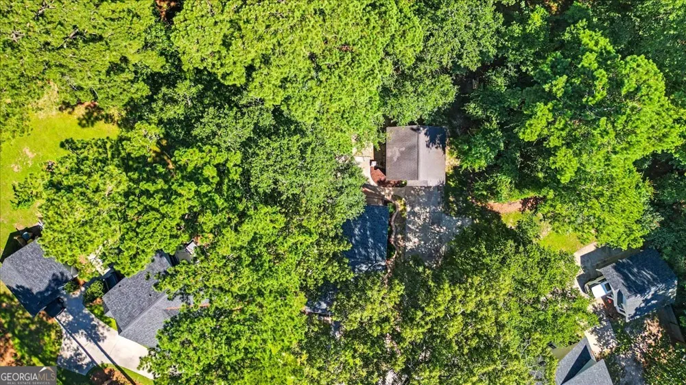 90 Brisbon Hall DR Richmond Hill, GA 31324
