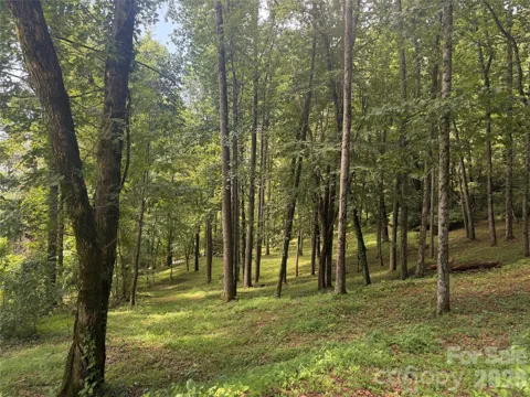 89 Split Rock Trail #56