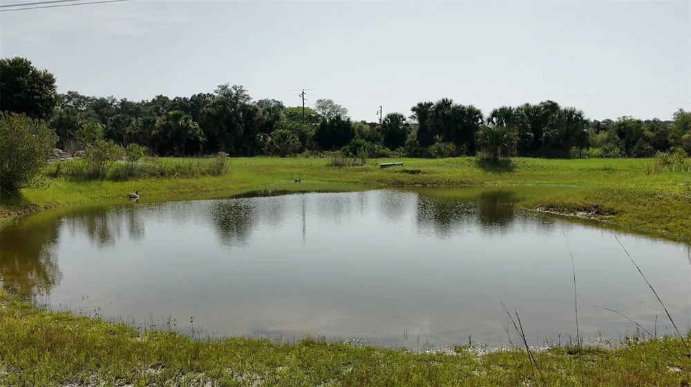 345 TROTTING TRAIL Osteen, FL 32764