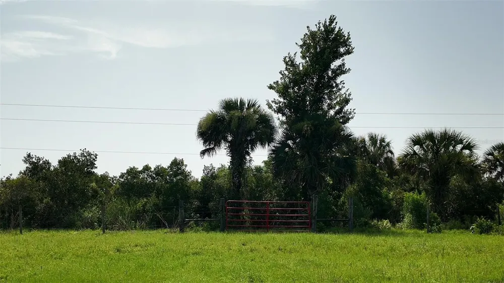 345 TROTTING TRAIL Osteen, FL 32764