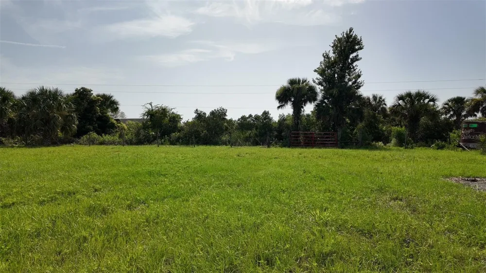 345 TROTTING TRAIL Osteen, FL 32764