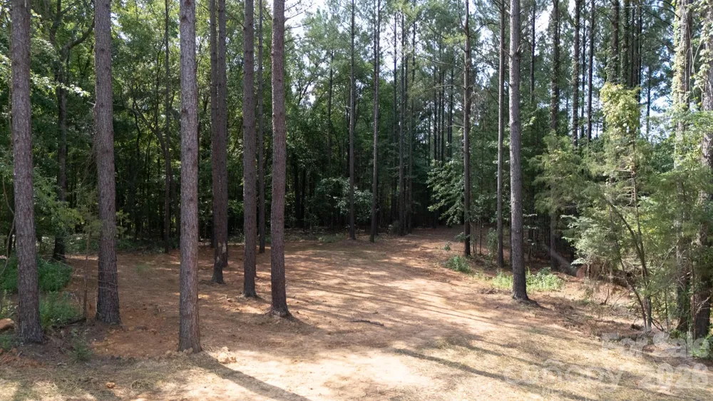 2902 Peden Bridge Road Chester, SC 29729