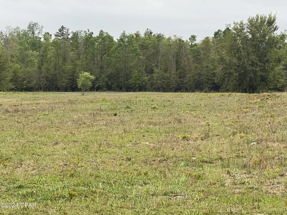 US-90 Sneads, FL 32460