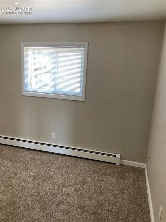 403 Mountain View Place Woodland Park, CO 80863