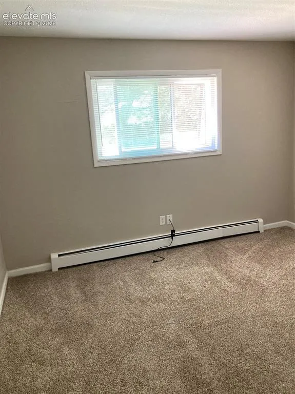 403 Mountain View Place Woodland Park, CO 80863