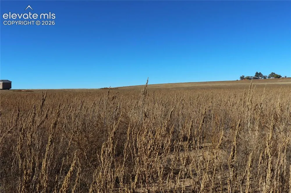 35520 Bowen Road Yoder, CO 80864