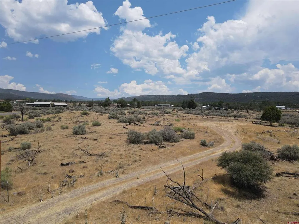 19296 Surface Creek Road Cedaredge, CO 81413