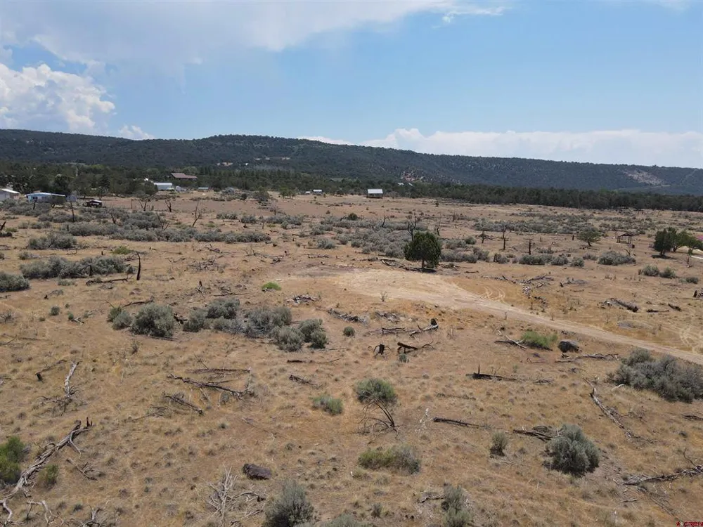 19296 Surface Creek Road Cedaredge, CO 81413