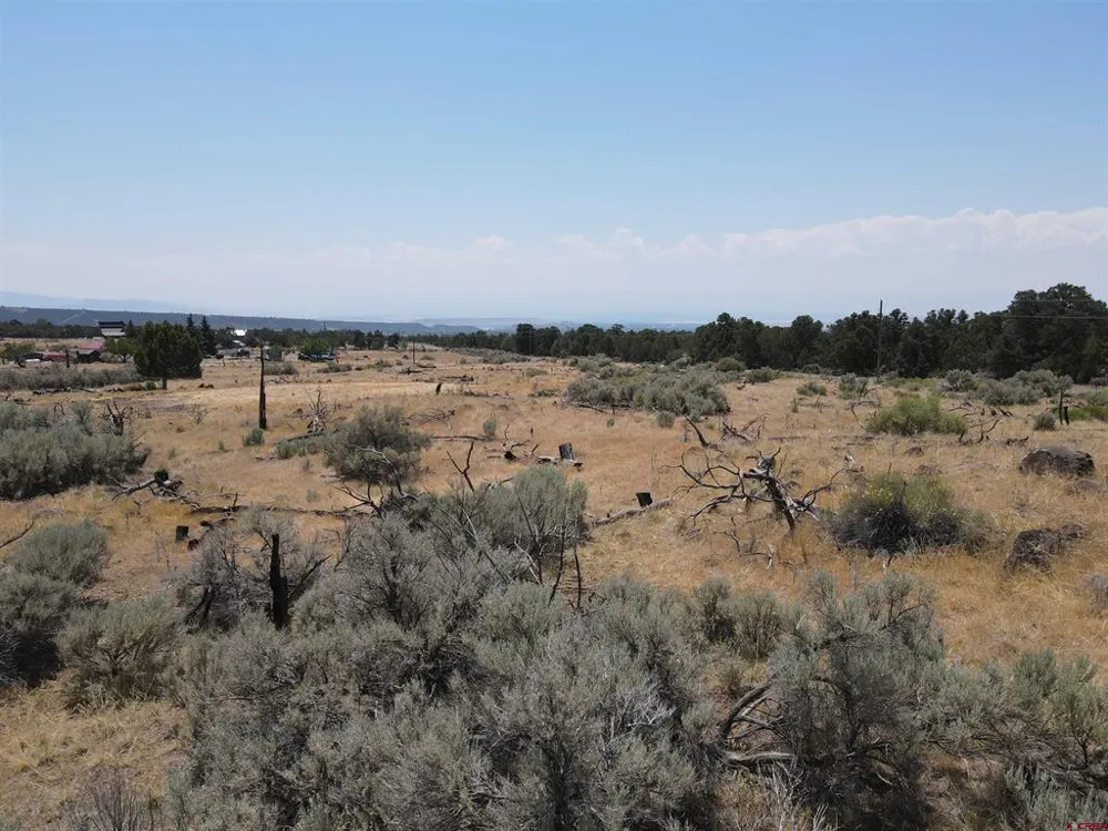 19296 Surface Creek Road Cedaredge, CO 81413