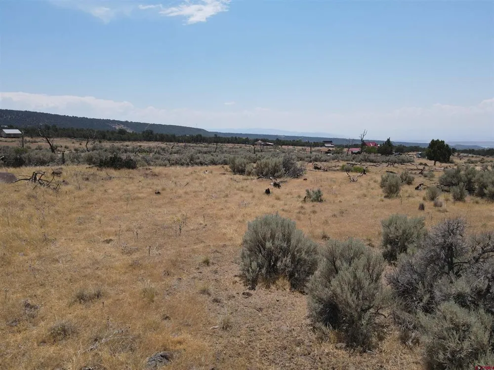 19296 Surface Creek Road Cedaredge, CO 81413