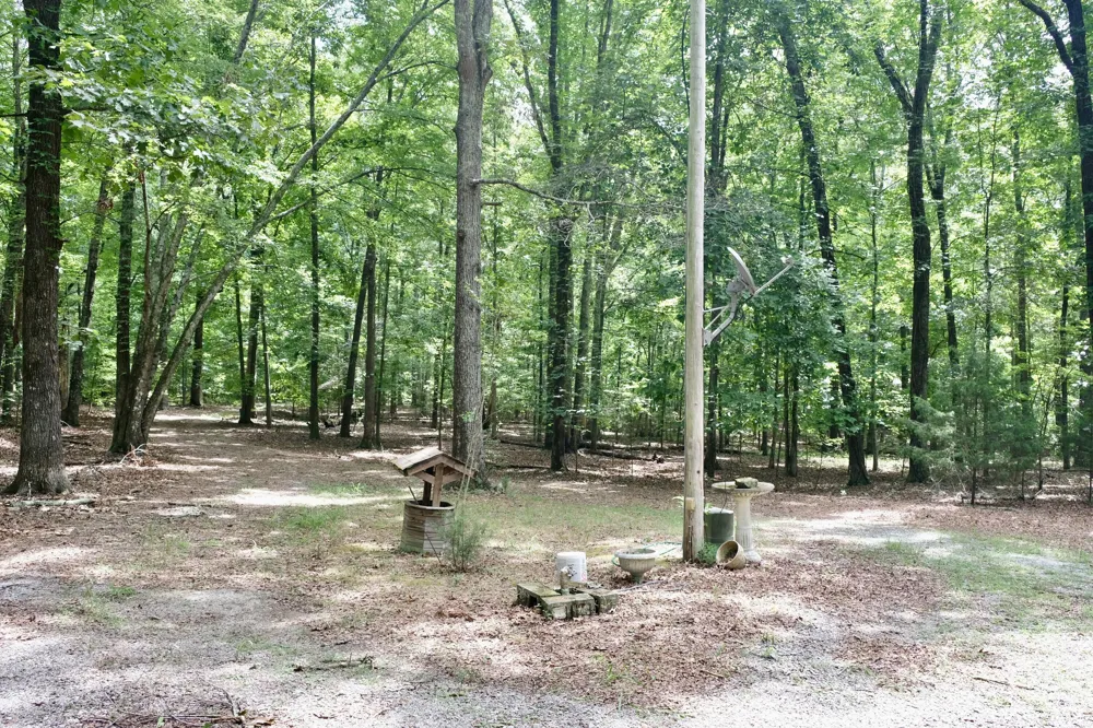 756 Ewing Cemetery Road Spring City, TN 37381