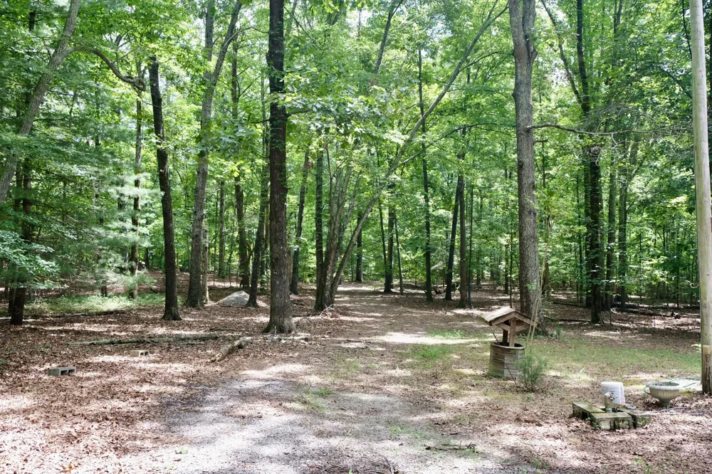 756 Ewing Cemetery Road Spring City, TN 37381