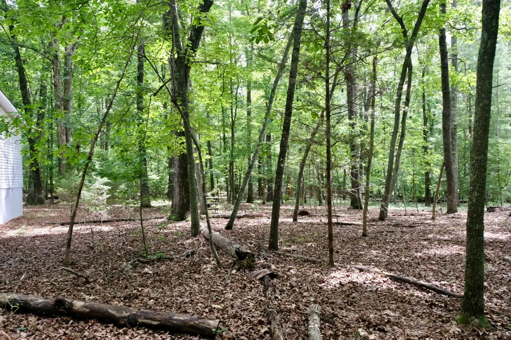 756 Ewing Cemetery Road Spring City, TN 37381